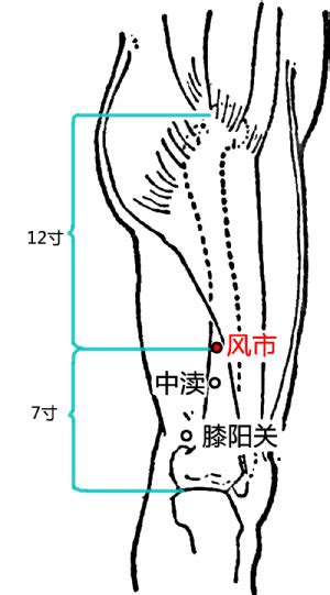 風是穴|風市穴位置 